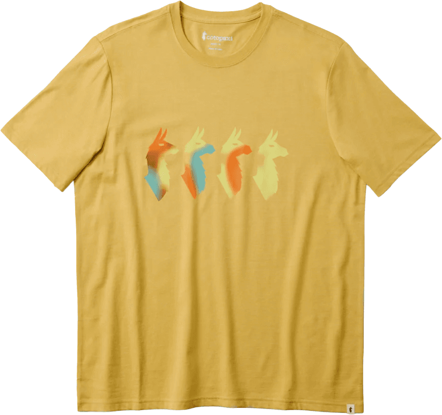 Camiseta COTOPAXI M CUATRO BITMAP