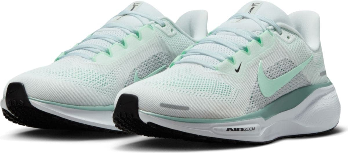 Zapatillas NIKE PEGASUS 41