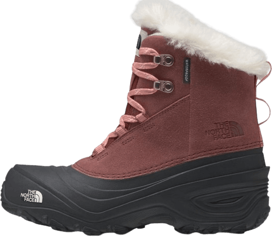 Botas THE NORTH FACE Y SHELLISTA V LACE WP
