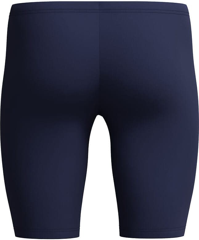 Bañador SPEEDO MEDLEY LOGO JAM