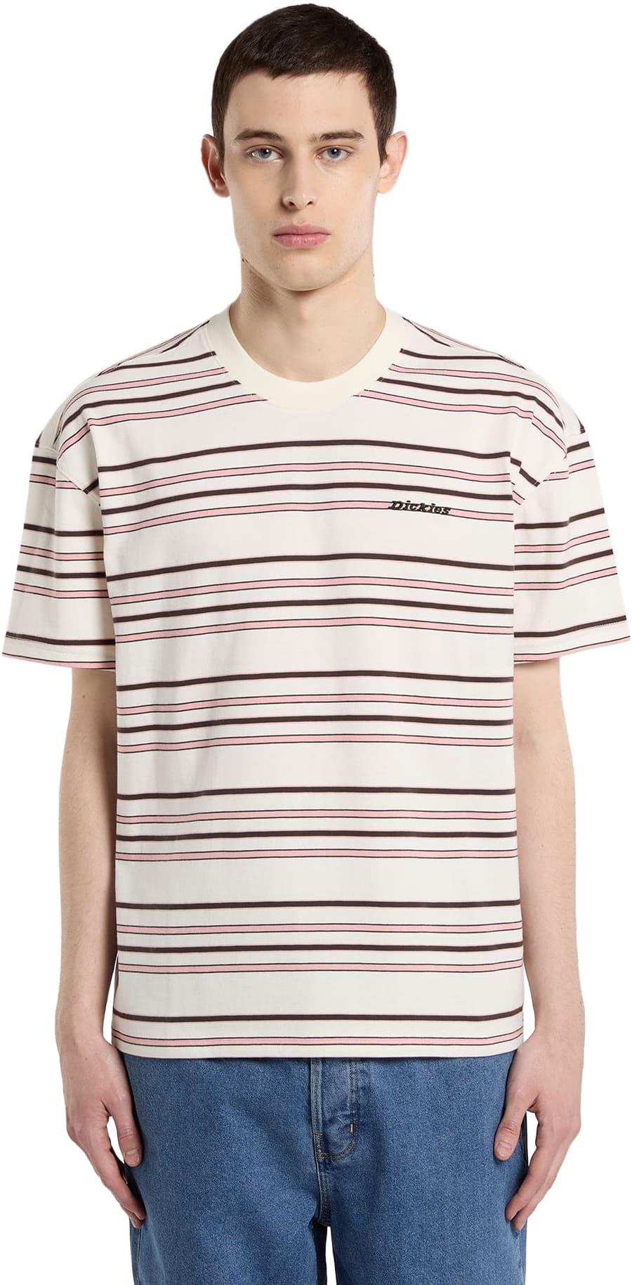 Camiseta DICKIES EAST LIBERTY STRIPE SS TEE