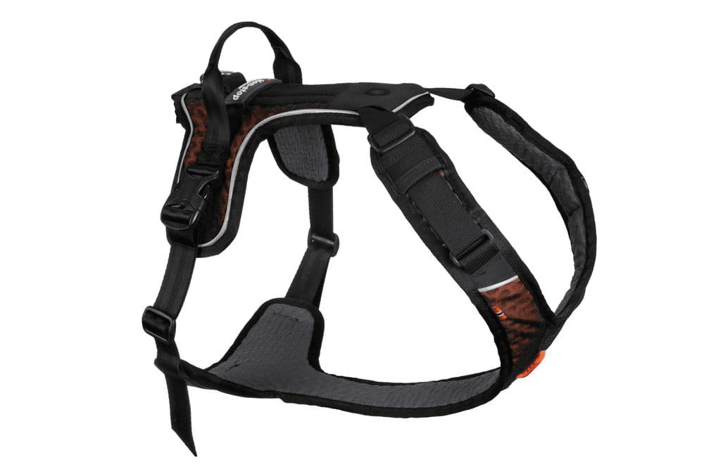 Arnés NON STOP DOGWEAR ROCK