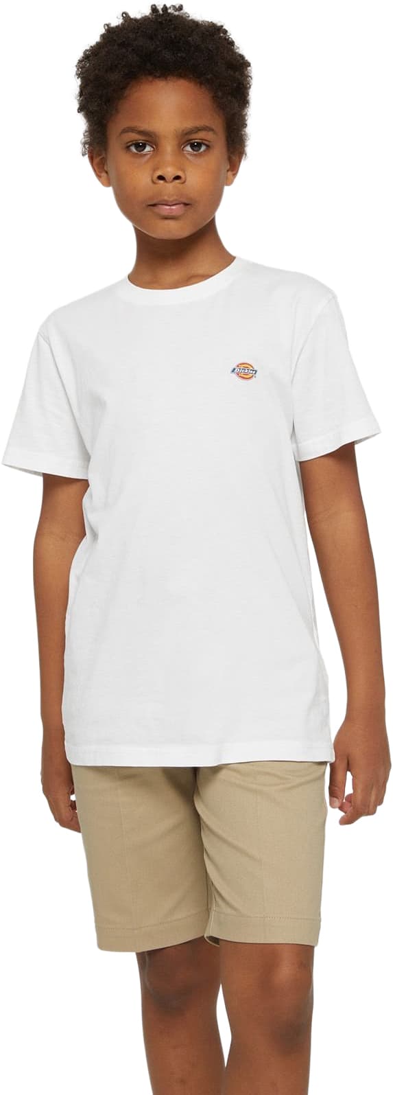 Camiseta DICKIES YOUTH MAPLETON TEE