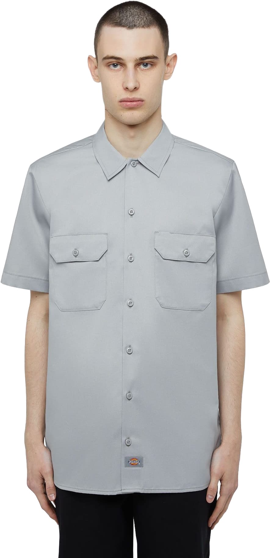 Camisa DICKIES WORK SHIRT SS REC