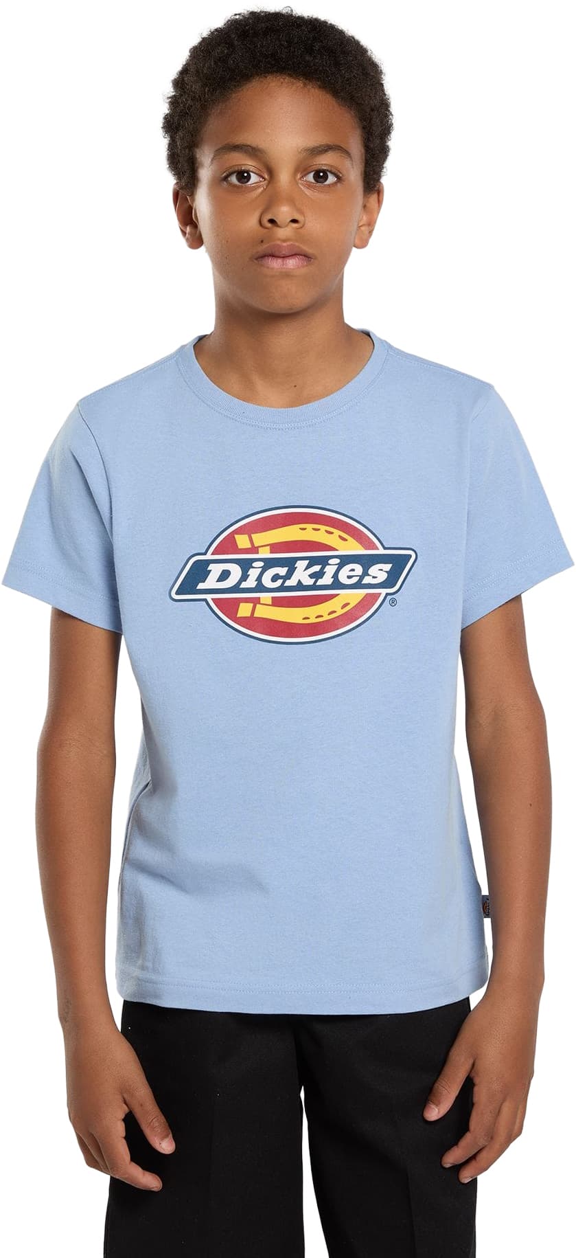 Camiseta DICKIES YOUTH LOGO TEE