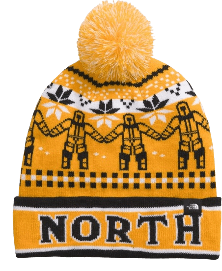 Gorro THE NORTH FACE KIDS SKI TUKE