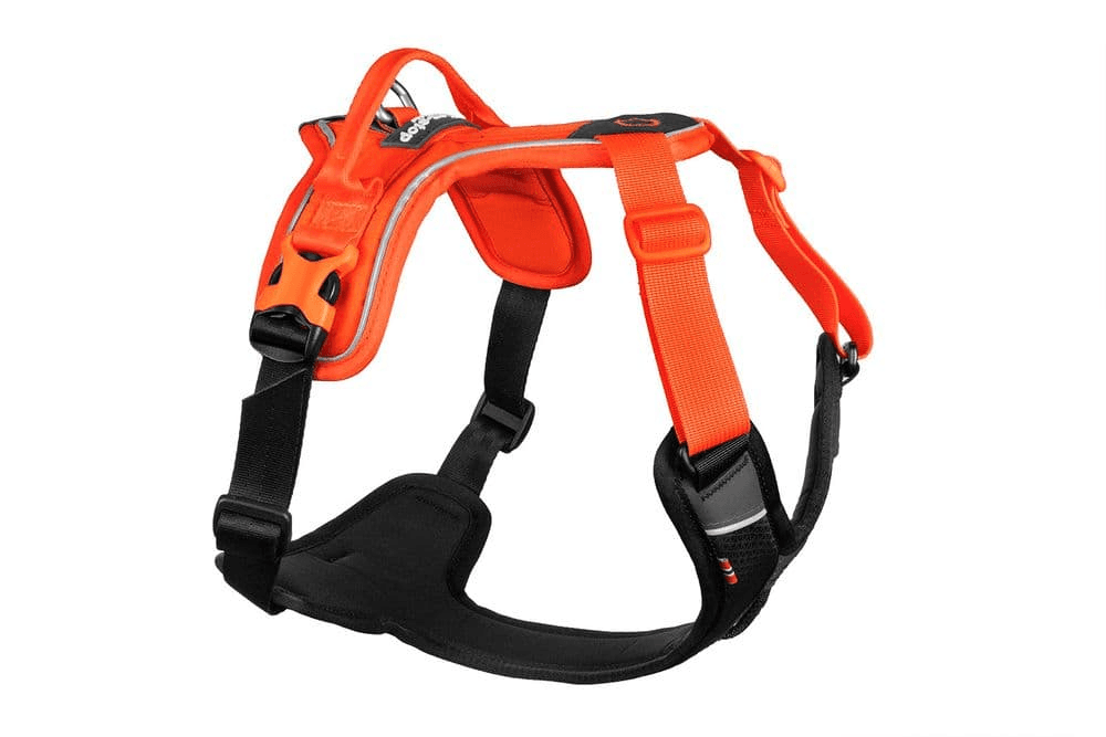 Arnés NON STOP DOGWEAR RAMBLE