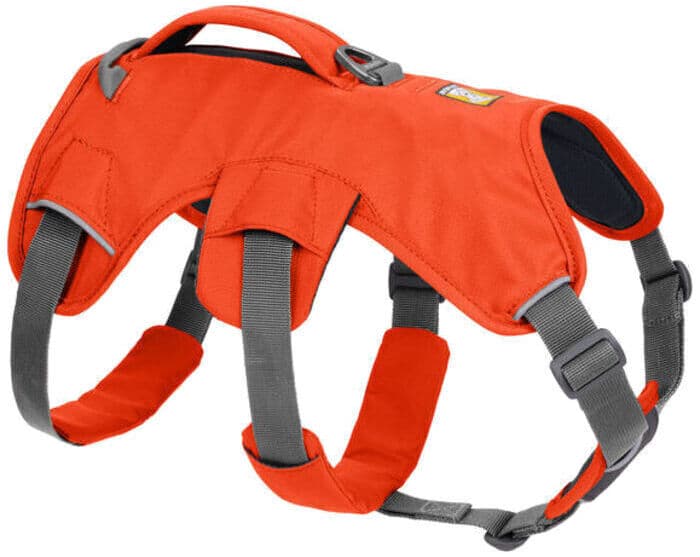 Arnés RUFFWEAR WEB MASTER