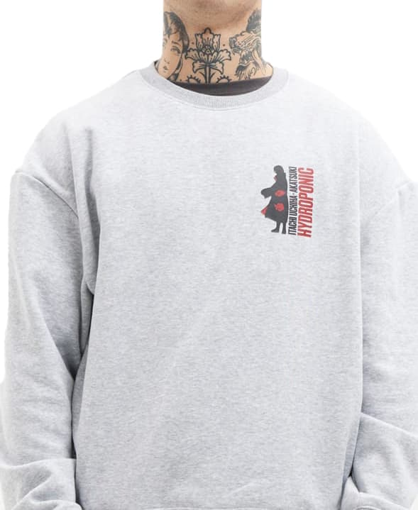 Sudadera HYDROPONIC NA ITACHI CW 01