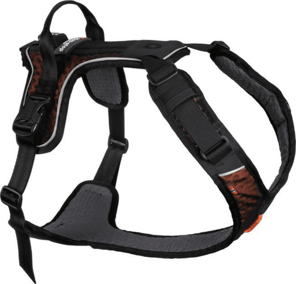 Arnés NON STOP DOGWEAR ROCK