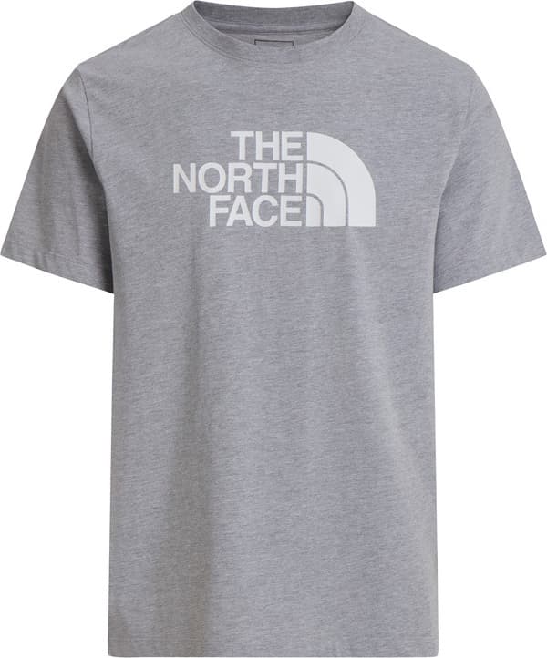 Camiseta THE NORTH FACE M EVOLUTION HALF DOME REGULAR SHORT SLEE