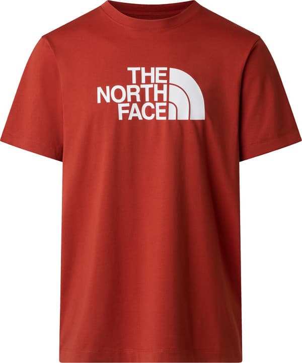Camiseta THE NORTH FACE M EVOLUTION HALF DOME REGULAR SHORT SLEE