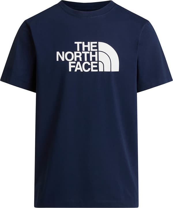 Camiseta THE NORTH FACE M EVOLUTION HALF DOME REGULAR SHORT SLEE