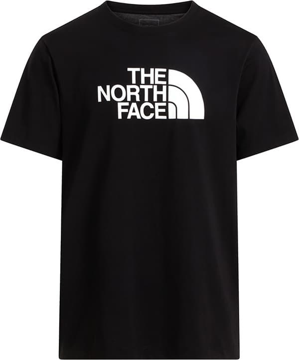 Camiseta THE NORTH FACE M EVOLUTION HALF DOME REGULAR SHORT SLEE