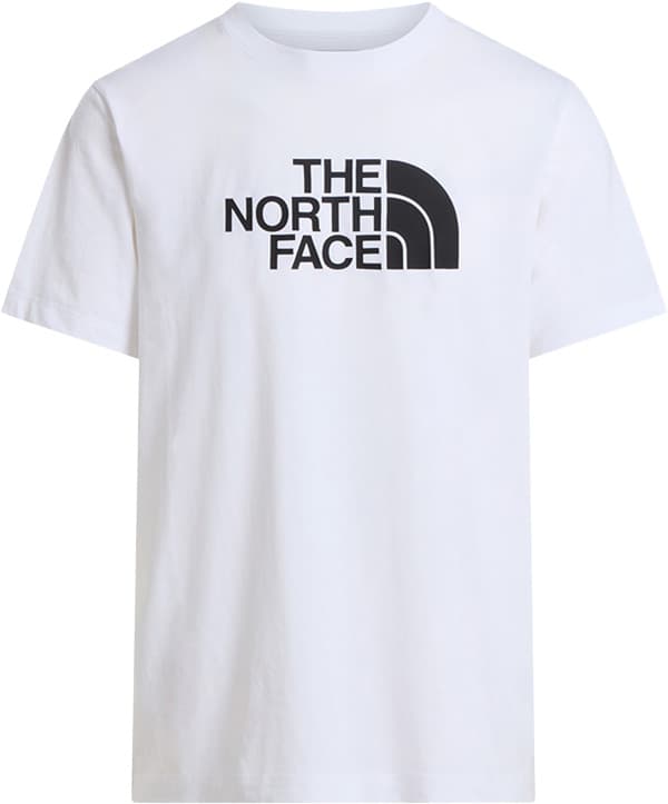Camiseta THE NORTH FACE M EVOLUTION HALF DOME REGULAR SHORT SLEE