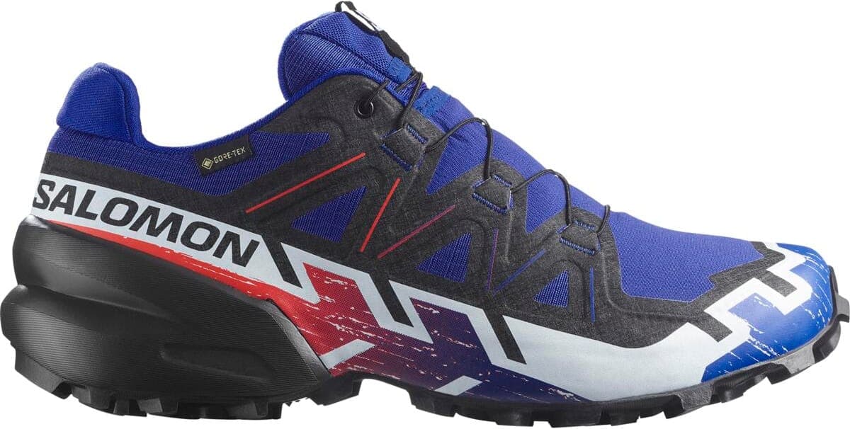 Zapatillas SALOMON SPEEDCROSS 6 GTX EQUIPE