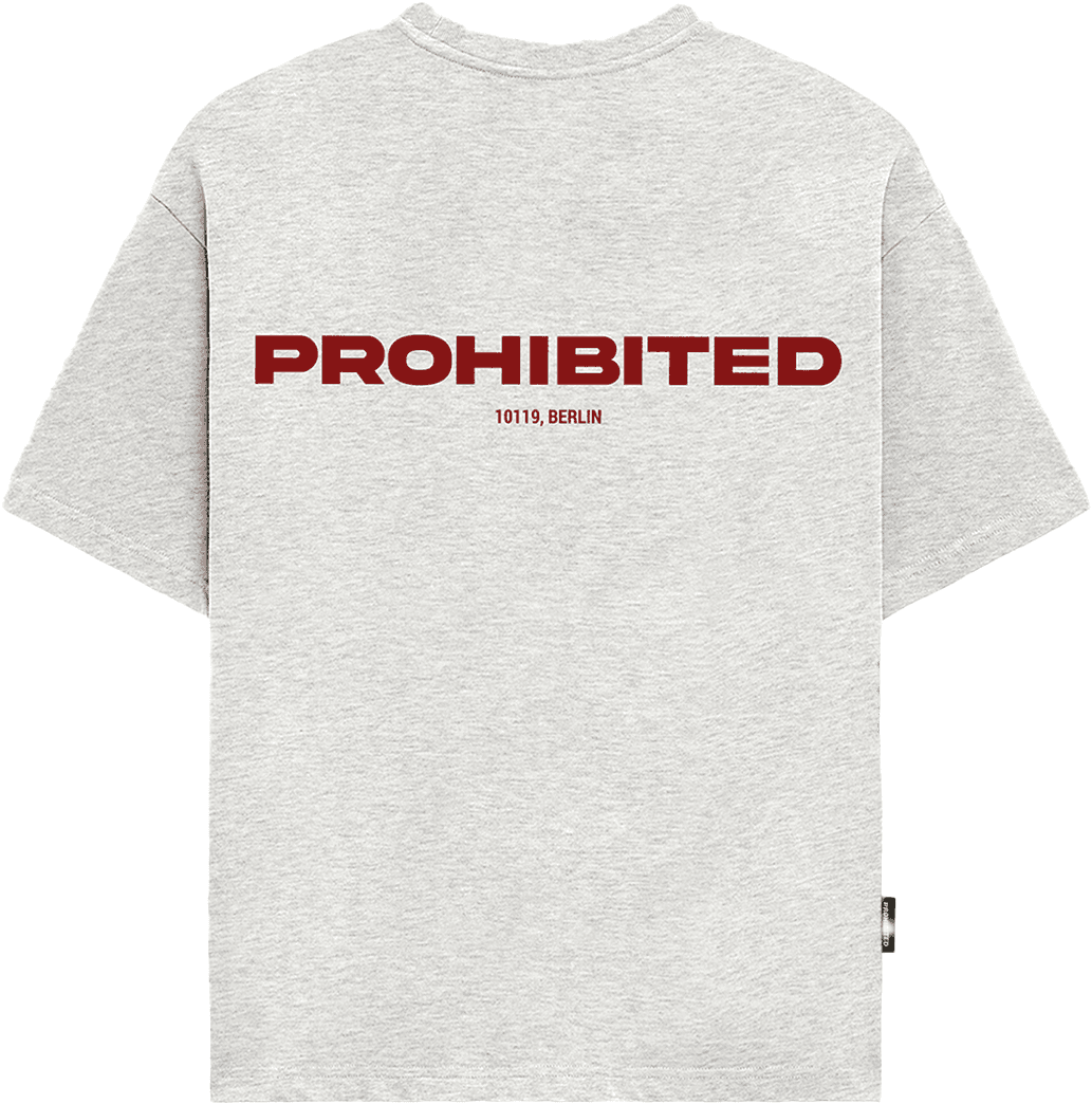 Camiseta PROHIBITED 10119 TEE GREY MELANGE