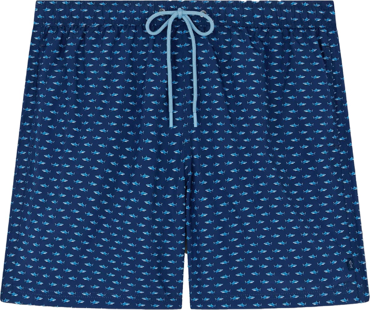 BLU CON SQUALO AZZURRO