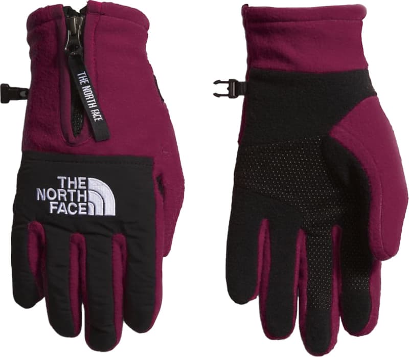 Guantes THE NORTH FACE DENALI ETIP GLOVE